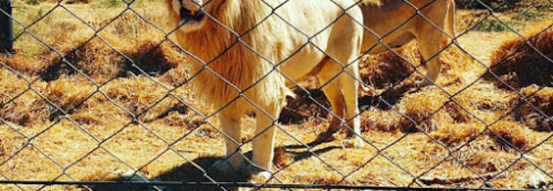 Bagamoya Wildlife Estate in Botshabelo, Free State, South Africa