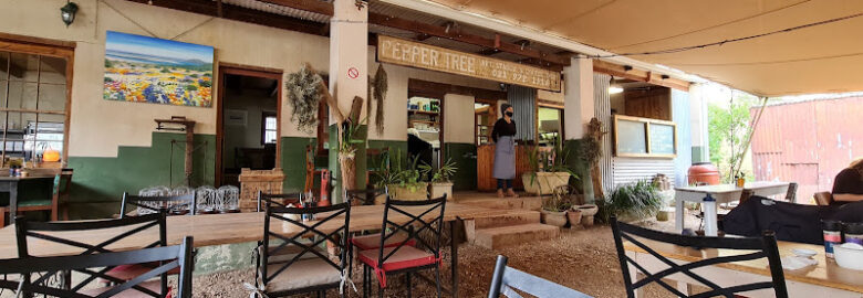 Pepper Tree Art Stable & Coffee Shop in Atlantis, Western Cape, South Africa